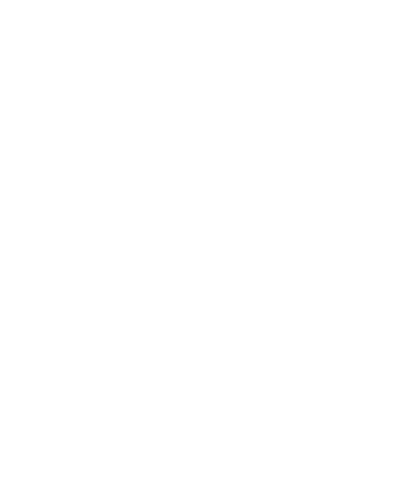 wahlkreuz.png
